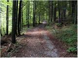 Polje - Planina Osredki